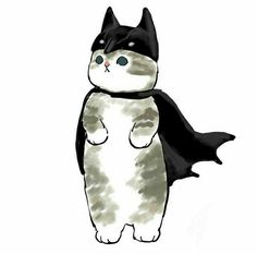 a drawing of a cat wearing a batman costume