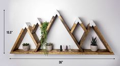 a wooden shelf with some plants on it