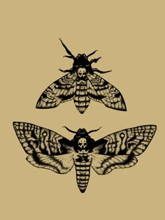 two moths are shown in black and white on a beige background, one is facing the camera