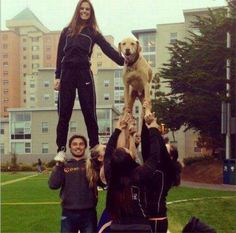 a group of people holding up a dog in the air