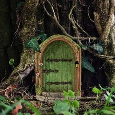 a green fairy door in the middle of a forest with vines and trees around it