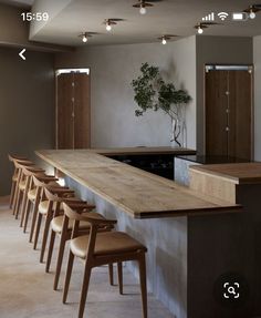 a bar with stools and a potted plant on the counter in front of it