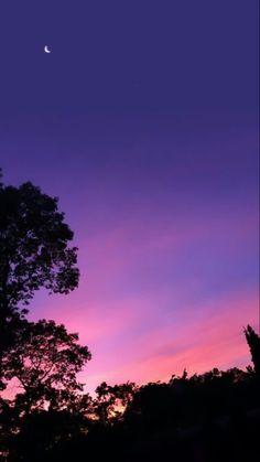 the sky is purple and pink as the sun sets in the distance with trees silhouetted against it