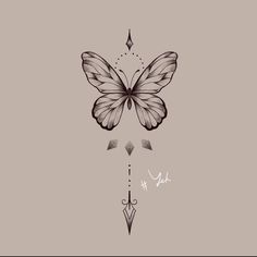 a drawing of a butterfly with arrows coming out of it's wings and an arrow in the middle