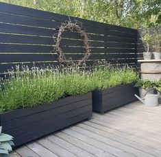 an outdoor garden with plants and flowers on the deck