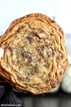 a person holding up a chocolate chip cookie