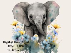 an elephant with flowers on it's back and the words digital download png, ppg, etc