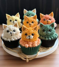 some cupcakes that have been decorated to look like cats