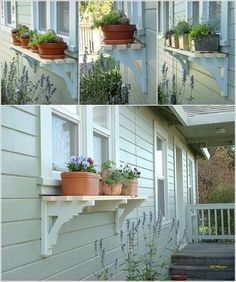 several pictures of flowers in pots on the windowsills and plants growing out of them