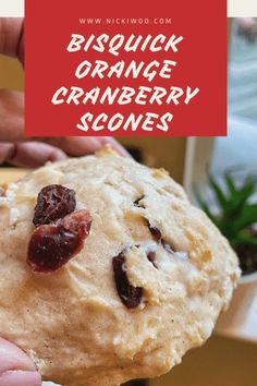 someone holding up a biscuit orange cranberry scones