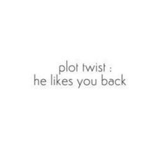 the words plot twist he likes you back