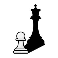 a black and white chess piece next to it's shadow on a white background