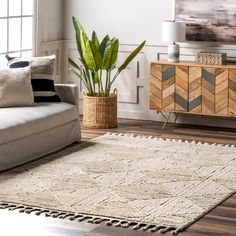 a living room with a couch, rug and plant