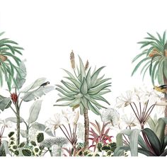 an illustration of tropical plants and birds