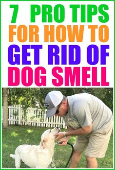 a man is petting a dog in the yard with text overlay that reads 7 pro tips for how to get rid of dog smell