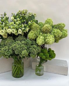 two vases filled with green flowers and greenery