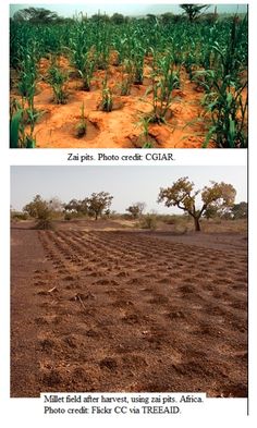 two pictures of the same field in different stages of development, one showing dirt and grass