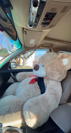 a large teddy bear sitting in the back seat of a car