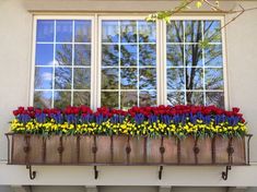 a window box filled with colorful flowers next to a building