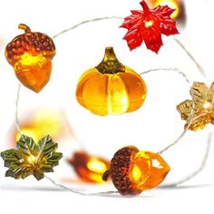 a string of lights with pumpkins and leaves on them