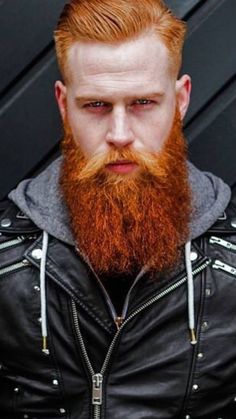 Gwilym Pugh, Medium Beard Styles, Ginger Hair Men, Beard Images, Best Beard Oil