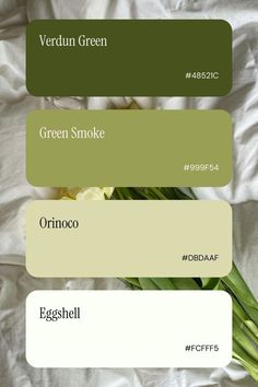 Brown And Sage Color Palette, Green Earth Color Palette, Earth Green Color Palette, Nature Green Color Palette, Colour Palette Earthy, Color Palette Brown Green, Natural Color Pallet, Earthy Colors Palette, Eco Color Palette