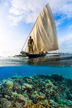 a man on a sailboat in the ocean with corals and blue sky behind him