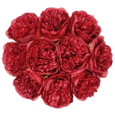 a bouquet of red peonies on a white background