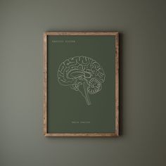 a wooden frame hanging on the wall displaying a drawing of a brain