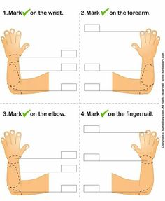 four different hand positions with the words mark on the wrist, 2 mark on the forearm and