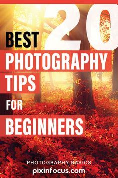 the best photography tips for beginners