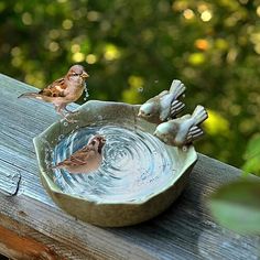 two little birds drinking water from a bowl on a wooden table outside with trees in the background