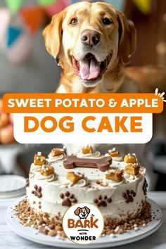 a dog is looking at a cake with the words sweet potato and apple dog cake on it