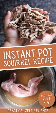 the cover of instant pot squirrel recipe, with hands holding up some food in front of it