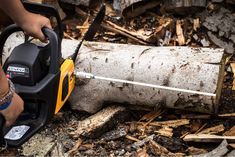 a person using a chainsaw to cut down a tree