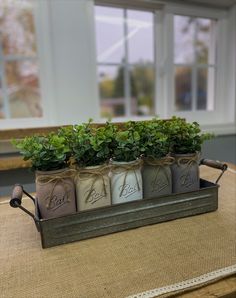 three mason jars with plants in them sitting on a table next to a windowsill