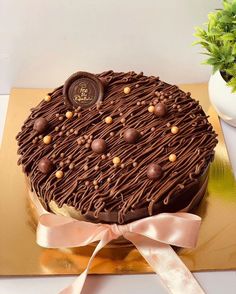 a chocolate cake on a gold platter with a pink ribbon and potted plant in the background