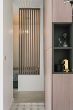 an open door leading to a bedroom with a bed in the background and shelves on either side