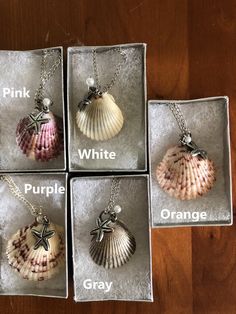 four different seashells are in their boxes with the names purple, white, and orange