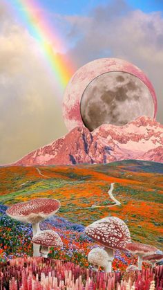 an image of mushrooms in the grass with a rainbow in the sky behind them and a full moon above it