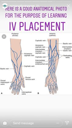 the anatomy of the hand and wrist with caption for each part of the image