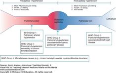 a diagram showing the different types of medications used in medical devices and their uses for treatment