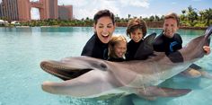 three adults and two children posing for a photo with a dolphin in front of them