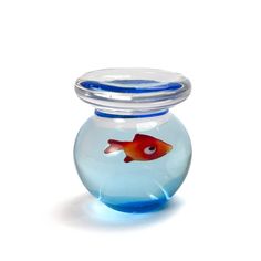 a goldfish in a glass bowl on a white background with blue trim around the bottom