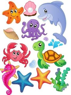 various sea animals and starfishs on a white background