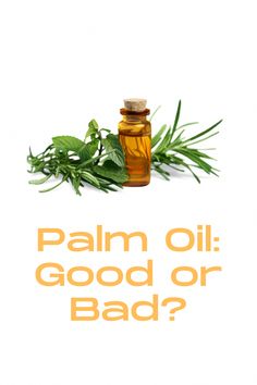 Palm oil is a popular oil found in many foods. While it may have some health benefits, its production has major environmental and ethical concerns. Palm Fruit Oil, Red Palm Oil, Red Palm, Women Health Care, Home Health Remedies, Oil Production, Improve Sleep Quality, Palm Oil