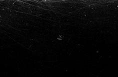 black and white photograph of spider webs in the dark