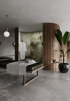 a room with a bed, bathrobe and plant in it