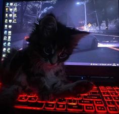 a small kitten sitting on top of a laptop computer keyboard in front of a monitor