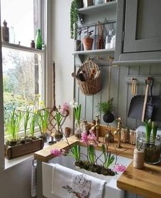 a kitchen filled with lots of plants next to a window